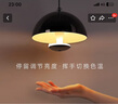 西頓照明（CDN） 智控客廳燈現(xiàn)代簡約三段調(diào)光餐廳吊燈極簡圓形創(chuàng)意輕奢臥室吊燈 【黑色】8W  三段調(diào)光 曬單實拍圖