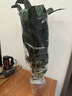 室內綠植花卉盆栽孔雀竹芋 貓眼彩虹綠植盆栽植物 新飛羽竹芋60-70厘米高 原盆原土發(fā)貨 含原裝簡(jiǎn)易塑料盆 曬單實(shí)拍圖