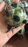 粵之陳香水青檸檬塔西提無籽檸檬薄皮多汁新鮮水果檸檬新鮮采摘小青檸檬 無籽青檸檬2斤（單果50g-70g） 曬單實(shí)拍圖