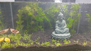 尼特利二代水草泥魚缸專用水藻泥生態(tài)草缸底砂營養(yǎng)土3L/袋 曬單實(shí)拍圖