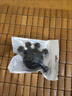 邁飛特指力訓練器手指力量攀巖靈活度力量僵硬練五指康復握力鍛煉器吉他 指力訓練器-黑色【強款45KG] 曬單實(shí)拍圖