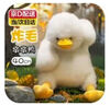 奇怪君炸毛墩墩鴨子玩偶公仔可愛(ài)毛絨玩具小鴨抱枕布娃娃送女孩生日禮物 炸毛墩墩鴨白【40cm】 曬單實(shí)拍圖