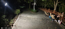 雷士（NVC）太陽(yáng)能燈戶(hù)外庭院燈室外農村燈投光燈光控遙控1650lm+照約90㎡ 曬單實(shí)拍圖