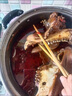 帶骨生羊頭整個生羊頭新鮮清真羊頭帶皮羊頭肉順豐包郵批發(fā) 整個羊頭4-5斤 曬單實拍圖