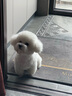 耐吉斯鮮肉Pro夾心凍干狗糧1.5kg*4包成犬幼犬益生菌鴨肉梨淚痕管理 曬單實(shí)拍圖