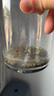 沭之美魚缸水草 大對(duì)葉種子+水草泥+12*15圓柱玻璃瓶+小噴壺 源頭直發(fā) 曬單實(shí)拍圖