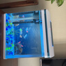 長(cháng)銳生態(tài)魚(yú)缸客廳桌面小型金魚(yú)缸全套家用一體缸自循環(huán)免換水 MC360升級版【長(cháng)36x寬23x高38cm】 曬單實(shí)拍圖