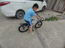 鳳凰兒童自行車男女寶寶小孩山地車3-5-6-8-10-12-16歲學(xué)生腳踏車禮物 【*推薦-標(biāo)配單速】鈦金銀+禮包 18寸-單速輔助輪腳撐，變速腳撐 曬單實(shí)拍圖
