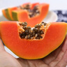 柏饞廣西紅心木瓜水果2025新鮮整箱孕婦冰糖心樹上自然熟青皮牛奶木瓜 紅心木瓜 2斤 試吃 曬單實拍圖
