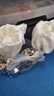 Luxury Flowers琺瑯彩水晶玻璃杯新款女士高顏值家用花茶杯子高檔辦公室精致水杯 【矮杯禮盒】矮杯+勺+蓋+盤 曬單實(shí)拍圖
