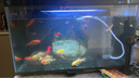畫(huà)法幾何南美風(fēng)枯木魚(yú)缸造景套餐 米家智能魚(yú)缸專用仿真枯木叢林  曬單實(shí)拍圖