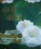 祺安2*山茶羽柔嬰兒拉拉褲彈力腰圍大吸收護臀尿褲尿不濕試用裝3片 拉拉褲【XXL】3片【≥15kg】 曬單實拍圖