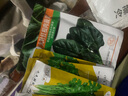 壽禾 天津沙窩蘿卜種子秋冬季大全水果青羅卜季長白壽光蔬菜菜籽種孑 正宗肥翠沙窩蘿卜種子20g 曬單實拍圖
