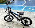 飛鴿（PIGEON）飛鴿兒童自行車(chē)小孩山地中小學(xué)生童車(chē)6-10歲男女生腳踏車(chē)18寸藍(lán)色 曬單實(shí)拍圖