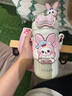 Diller兒童雙飲保溫杯男女小學(xué)生寶寶吸管水杯送禮保溫壺女士杯子新款 莉莉兔 490ml 【316L內(nèi)膽】 曬單實(shí)拍圖