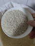禧珠香 【新米】香米大米軟糯50斤太湖珍珠米胚芽粥飯江蘇香米25kg粳米 曬單實拍圖