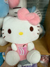 凱蒂貓（hellokitty）三麗鷗KT貓毛絨玩偶玩具抱枕娃娃七夕情人節女生日禮物高級小眾 曬單實(shí)拍圖