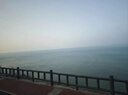 羅浮山 蓯黃補(bǔ)腎膠囊0.4g*36粒滋補(bǔ)腎陰強(qiáng)筋壯骨用于腎虛腰酸健脾益腎寶蓯黃膠囊 曬單實(shí)拍圖