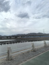 361°【悍將】?jī)和型@球鞋夏季透氣減震中大童運(yùn)動(dòng)鞋女童訓(xùn)練球鞋 淡藍(lán)綠色/361度白/夕陽(yáng)橙色 38 曬單實(shí)拍圖