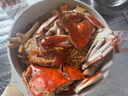 舟山梭子蟹鮮活特大野生大螃蟹新鮮冷凍海鮮水產(chǎn)海蟹飛蟹白蟹順豐 7-9兩/只【5斤凈重 特大肥壯】 曬單實(shí)拍圖