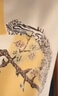 純信大碼短袖t恤女2025夏季新款時(shí)尚百搭印花減齡遮肚媽媽裝T恤上衣女 11/定位花黃杏色 3XL 建議140-155斤內(nèi) 曬單實(shí)拍圖