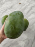 京鮮生 攀枝花凱特芒 凈重8.5斤 帶箱9斤 單果600g+ 生鮮水果 源頭直發(fā) 曬單實(shí)拍圖
