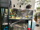 貝森（BESSN）溪流缸全套魚缸底柜過濾金晶超白水族館直播加厚鋼架子雙層繁殖 雙層溪流缸 上100*45*45下80*45*45 曬單實拍圖