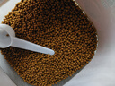 海豚鸚鵡魚飼料1000g上浮型紅鸚鵡發(fā)財魚食血鸚鵡魚專用魚糧增紅飼料 曬單實拍圖
