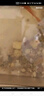 高透加厚魚(yú)缸 斗魚(yú)金魚(yú)缸帶底托一體型耐摔客廳懶人桌面生態(tài)缸 升級款超大號底座魚(yú)缸【高透/久用不糊】 曬單實(shí)拍圖