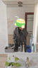 伯爵卓爾【假兩件】連帽夾克男士2025秋裝新款通勤休閑外套男 B531395 月影灰 XL (180) 曬單實拍圖