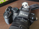 尼康（Nikon）Z50II（Z50ii/ Z502 / Z50二代 )入門級(jí)微單套機(jī) 街拍Vlog（Z DX 18-140mm f/3.5-6.3 VR） 曬單實(shí)拍圖