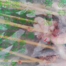 望京小腰燒烤食材批發(fā)腰子大串油炸肉串商用冷凍批發(fā)串串20串 400g 曬單實拍圖