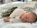 babylove嬰兒T恤春秋款純棉長袖上衣男女寶寶純色百搭打底衫內(nèi)搭秋裝 曬單實(shí)拍圖