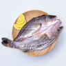 GUO LIAN國聯(lián)水產(chǎn) 酒香三去海鱸魚凈重400g 免殺免處理即烹海鮮食材生鮮 曬單實(shí)拍圖