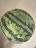 【產(chǎn)地直采】麒麟奶油西瓜1粒4kg 曬單實(shí)拍圖