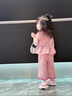 G.DUCKKIDS女童夏天時尚套裝夏季2025新款兒童女孩寶寶夏裝時髦洋氣童裝衣服 粉色 120 cm 曬單實拍圖