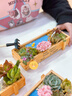 花藝萌多肉植物組合盆栽含盆含土創(chuàng  )意diy拼盤(pán)花盆肉肉植物室內綠植花卉 小鴨戲水 含盆 曬單實(shí)拍圖