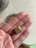 爬將軍凍干烏龜糧巴西鱷龜草龜通用食物飼料小營(yíng)養龜專(zhuān)用蝦干幼龜豬鼻龜 七合一肉粒龜糧凈含量750ml2罐 曬單實(shí)拍圖