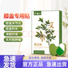 云南白藥云南白藥泰邦艾草膝蓋貼腰椎肩周頸椎艾灸熱敷陳艾帖膏貼 頸椎貼12貼(買一贈一發(fā)2盒) 曬單實拍圖