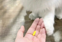 傳腹大師 貓傳染性腹膜炎傳福大師干性濕性口服膠囊同款醫(yī)院 【順豐速運(yùn)】傳福大師(5粒)拆售 曬單實(shí)拍圖