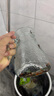 涼水壺錘紋玻璃冷水壺套裝家用夏季水具 錘紋水具套裝【1壺4杯】 曬單實拍圖