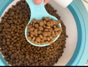 網(wǎng)易嚴(yán)選貓濕糧零食濃湯大口肉罐頭雞肉+三文魚 85g*24罐 曬單實拍圖