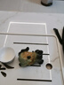 系顏貔貅抱元寶變色茶寵擺件精品可養(yǎng)家用茶桌茶臺茶玩配件 貔貅抱元寶 曬單實(shí)拍圖