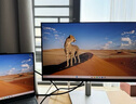 戴爾（DELL）DELL顯示器 P2423D升級(jí) 23.8英寸2K高清IPS面板電腦顯示器100HZ 硬件級(jí)防藍(lán)光 旋轉(zhuǎn)升降支架 P2425D HDMI+DP 辦公顯示器 曬單實(shí)拍圖