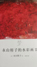 永山裕子的水彩畫(huà)2 夢(mèng) 日本水彩書(shū) 曬單實(shí)拍圖