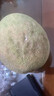 山東哈密瓜新鮮脆甜當(dāng)季西州蜜蜜瓜  孕婦兒童皆宜 5-5.5斤 曬單實(shí)拍圖