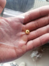YINXIANGRONG黃金銅錢(qián)珠轉運珠金錢(qián)珠3D硬金串珠足金999金珠DIY手串配件路路通 8mm銅錢(qián)珠約0.3g支持多退少補 曬單實(shí)拍圖