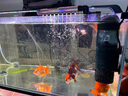 徹朗流化床過濾器水妖精魚缸內(nèi)置過濾器電動(dòng)增氧 4W流化床過濾器【配濾棉】 曬單實(shí)拍圖