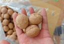 新邊界（new boundaries）薄皮核桃1500g 新疆特產(chǎn)阿克蘇核桃堅(jiān)果炒貨手剝?cè)读控?曬單實(shí)拍圖