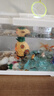 優(yōu)魚若寵金魚活體 觀賞魚 好養(yǎng)冷水魚 淡水活魚 小型小金魚寵物活體魚 4-6cm混色金魚5條 曬單實拍圖